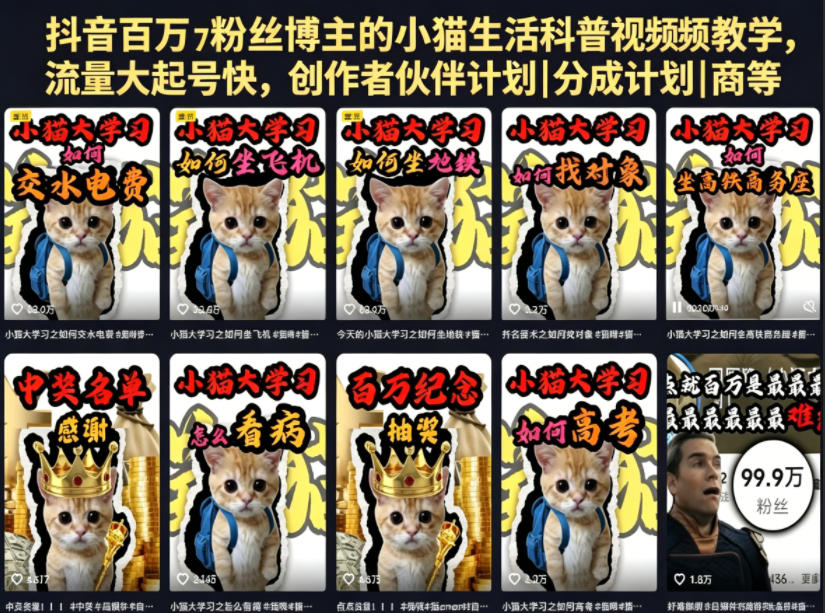 抖音百万粉丝博主的小猫生活科普视频教学，流量大起号快，创作者伙伴计划|分成计划|商单|收徒等-源创文化-轻创终点站