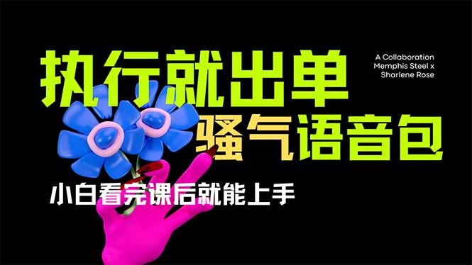 （14170期）爆火全网的开车导航骚气语音包,只要执行就出单，小白看完课程就能实操...-源创文化-轻创终点站